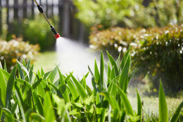 24/7 Emergency Mosquito Control experts in Glasgow, KY